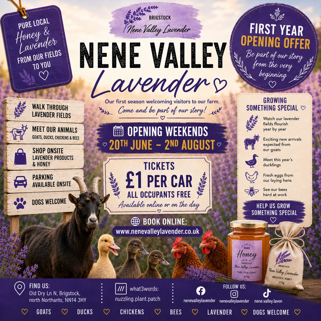 Nene Valley Lavender — First Year Opening Offer, Opening Weekends 20th June to 2nd August