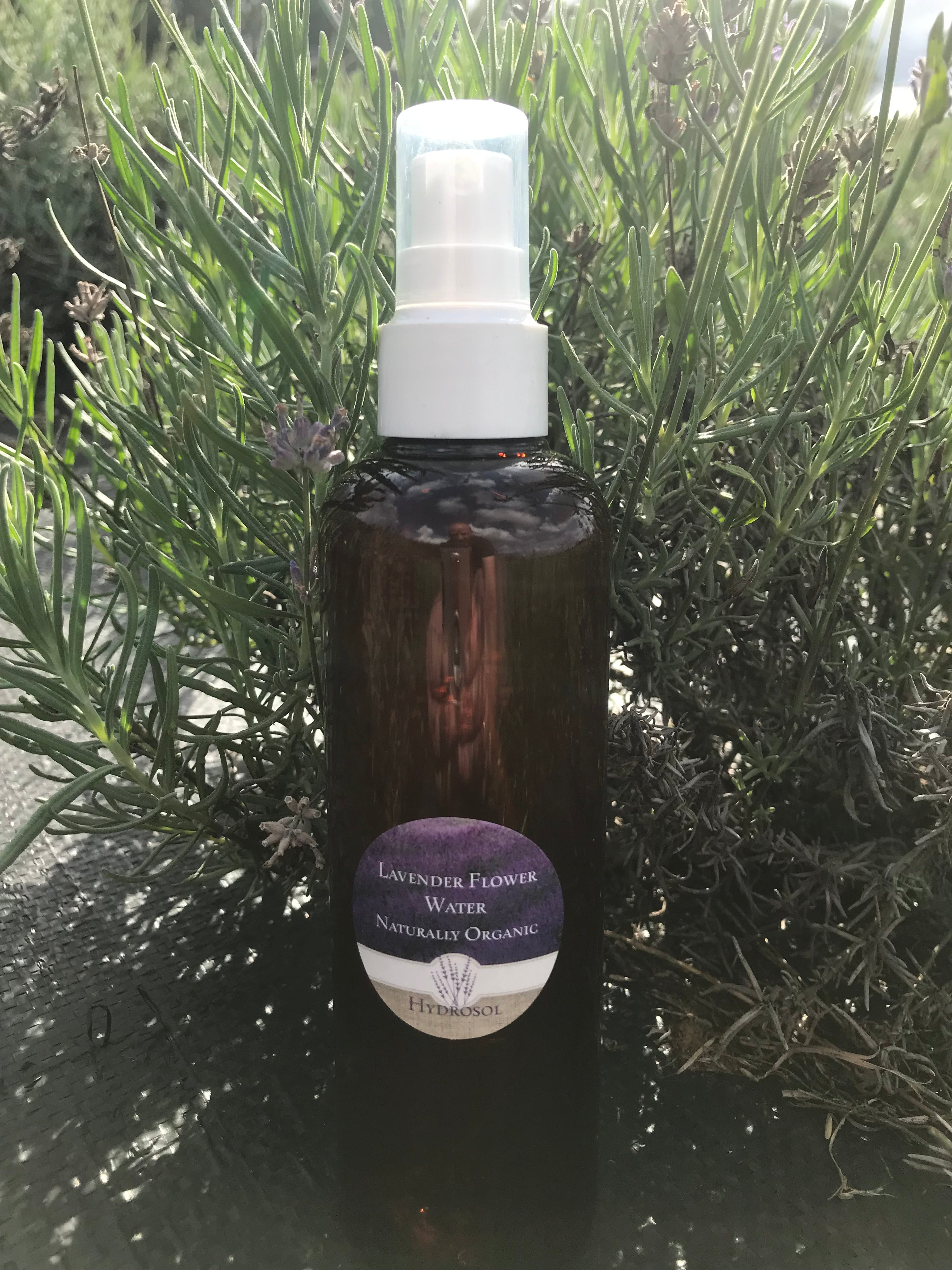 Lavender Hydrosol