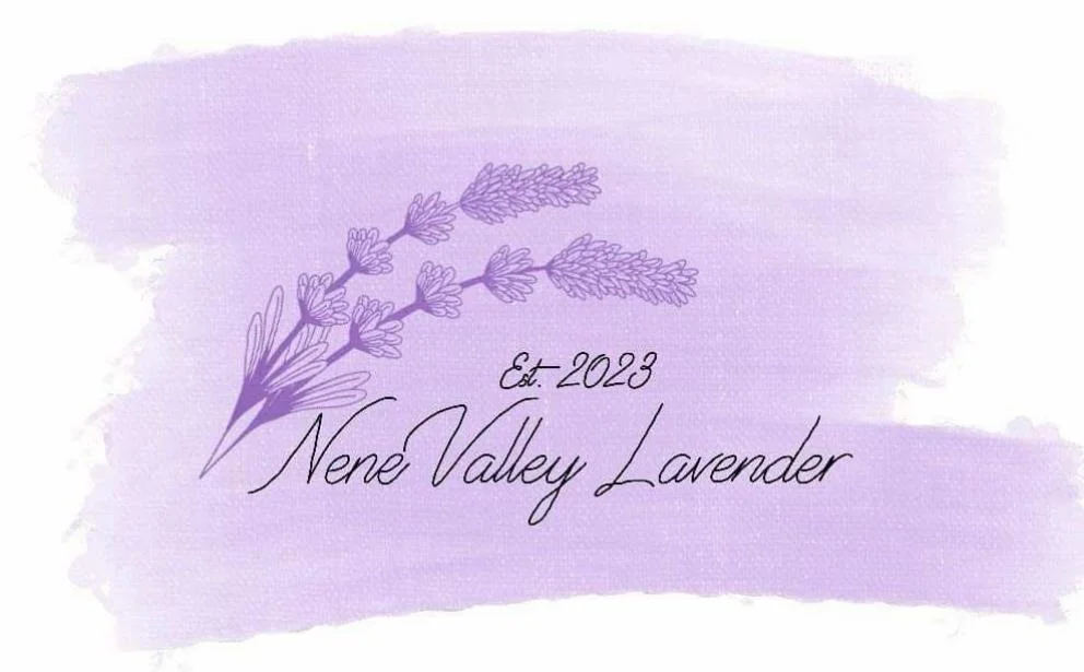 Nene Valley Lavender
